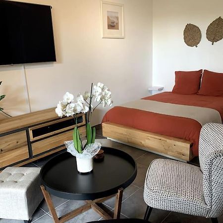 Grand Studio Avec Coin Nuit, Proche Mer Et Montagnes Roquebrune-sur Argens Esterno foto